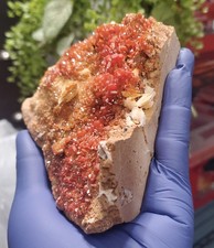 Spettacolari Cristalli di Vanadinite Rosso Ciliegia su Matrice - Mibladen, Marocco (458g)