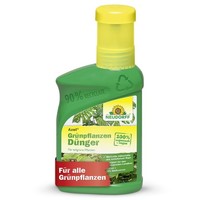 Neudorff® Azet® GrüNpflanzendüNger FlüSsig - 250 Ml