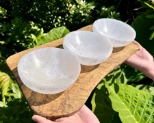 Natural Selenite Charging Bowls Polished Crystal Carving Specimens Collection