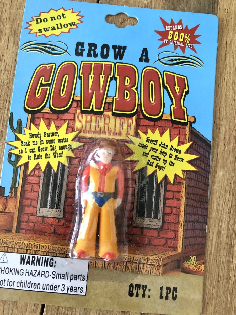 Cowboy 2024 novelty items