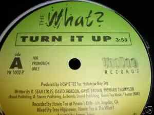The What? Turn It Up STILL SEALED Vinyl Single 12inch NEW OVP VooDoo Record