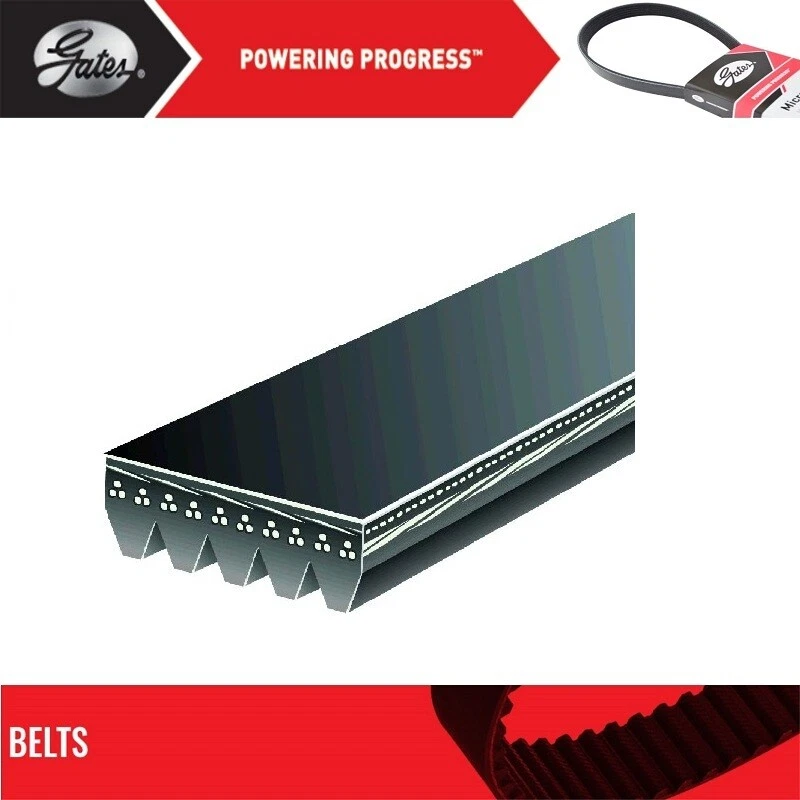 Gates Hub and Alternator Belt For 1999-2000 STERLING TRUCK LT9522 L6-10.8L - Image 2 of 4