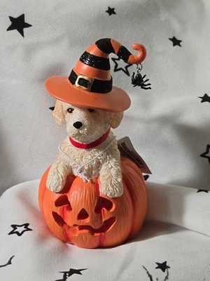 LED Ceramic Pumpkin White Furry Dog Wearing A Witches Hat Kurt Adler