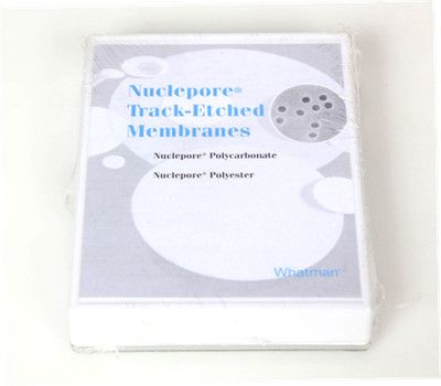 Whatman Nuclepore Track-Etched Membrane Filter, 13mm 0.4um, 110407 -NEW 100 Pk-