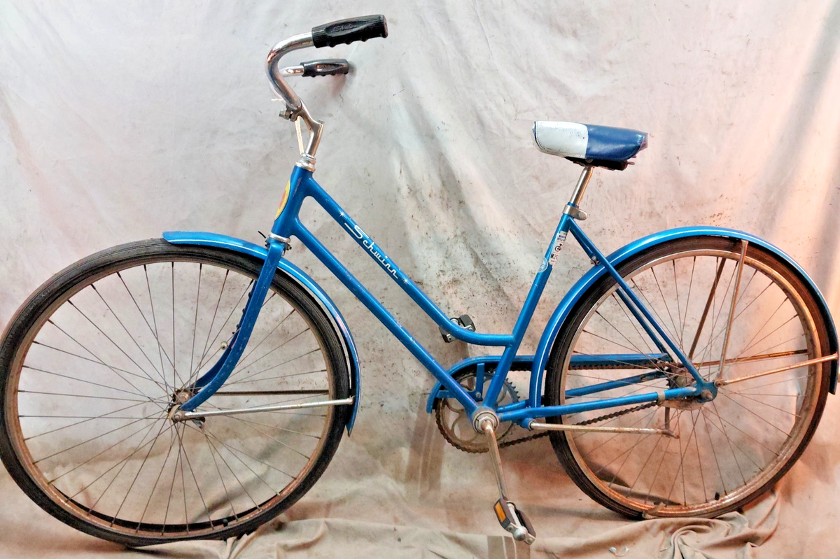 1965 Schwinn Breeze Vintage Cruiser Bike X-Small 49cm SS Single