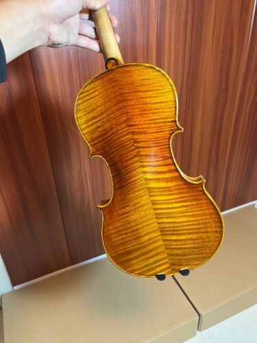 SurpassMusica grain fin 4/4 violon fait main beau son bon fabrication épinette - Photo 1/5