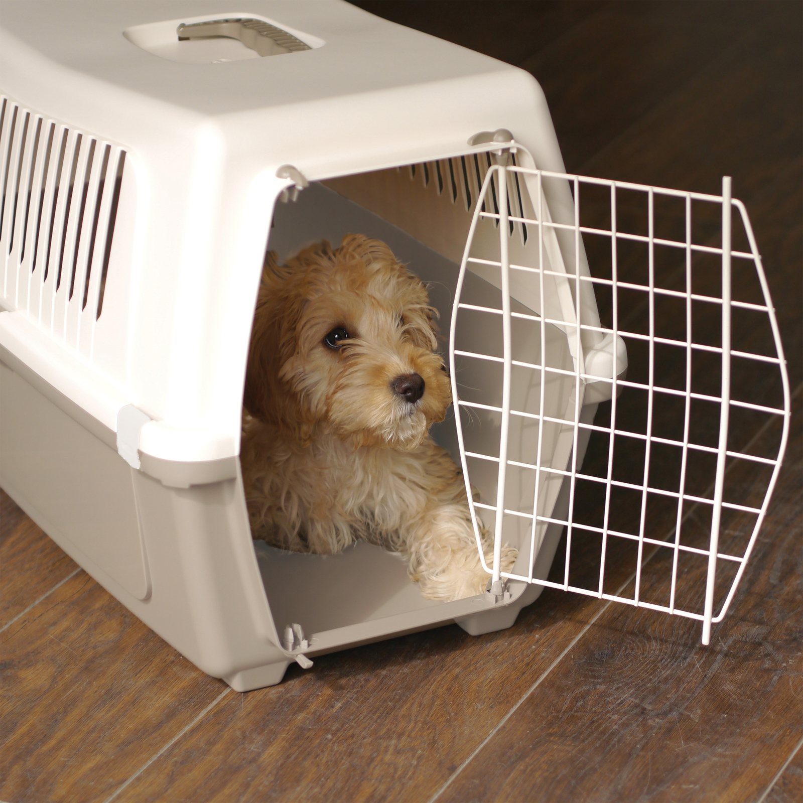 Pet Cat Dog Carrier Rosewood Vision Classic 50 Cat Carrier Pet Carrier