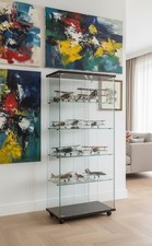 vetrine per negozio,espositore da negozio,vetrina per collezioni,modellismo