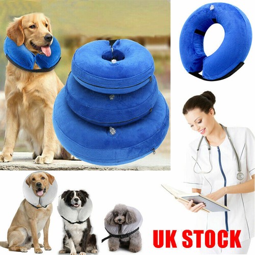 dog head protector