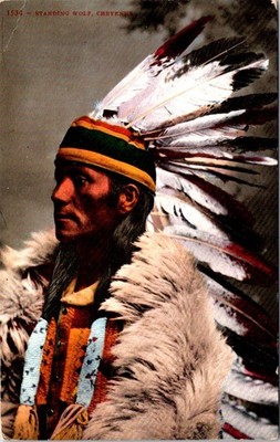 Cheyenne INDIAN ''Standing Wolf'' Postcard - Edward H. Mitchell