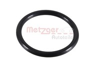 Metzger Autoteile 2430119 Dichtring, Lader