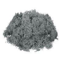 Konserviertes Rentier Moos Grau 3Oz FüR Topfpflanzen Indoor Deko Basteln