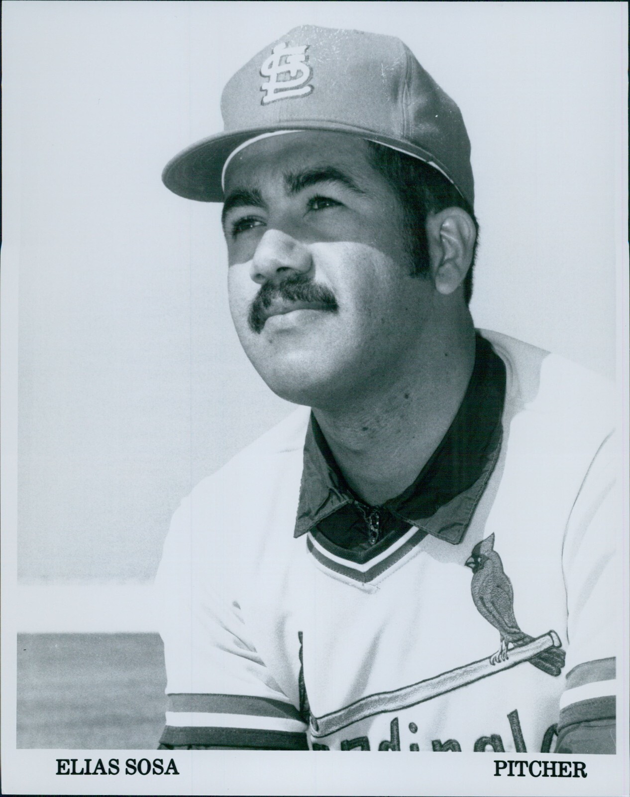 elias-sosa-st-louis-cardinals-mlb-unsigned-8x10-glossy-promo-photo-a