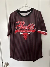 NBA Chicago Bulls #66 Applique Pinstripe Red Black Large