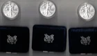 2026-W Burnished $1 American Silver Eagle in US Box