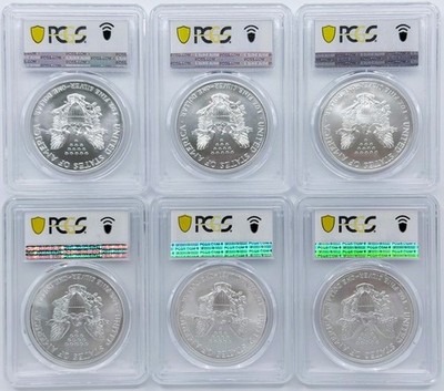 Silver Eagle Complete Set of 42 Coins (Every year from 1986-2026
