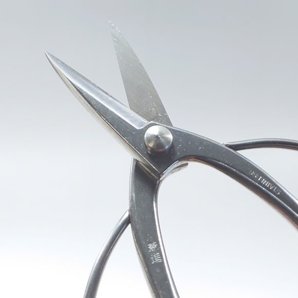 Kaneshin Bonsai Tools Bonsai Scissors No831 180mm Stainless