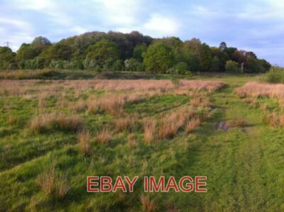 PHOTO  BINLEY PILES COPPICE FROM BRANDON REACH PILES COPPICE IS A 52 ACRE (21 HE