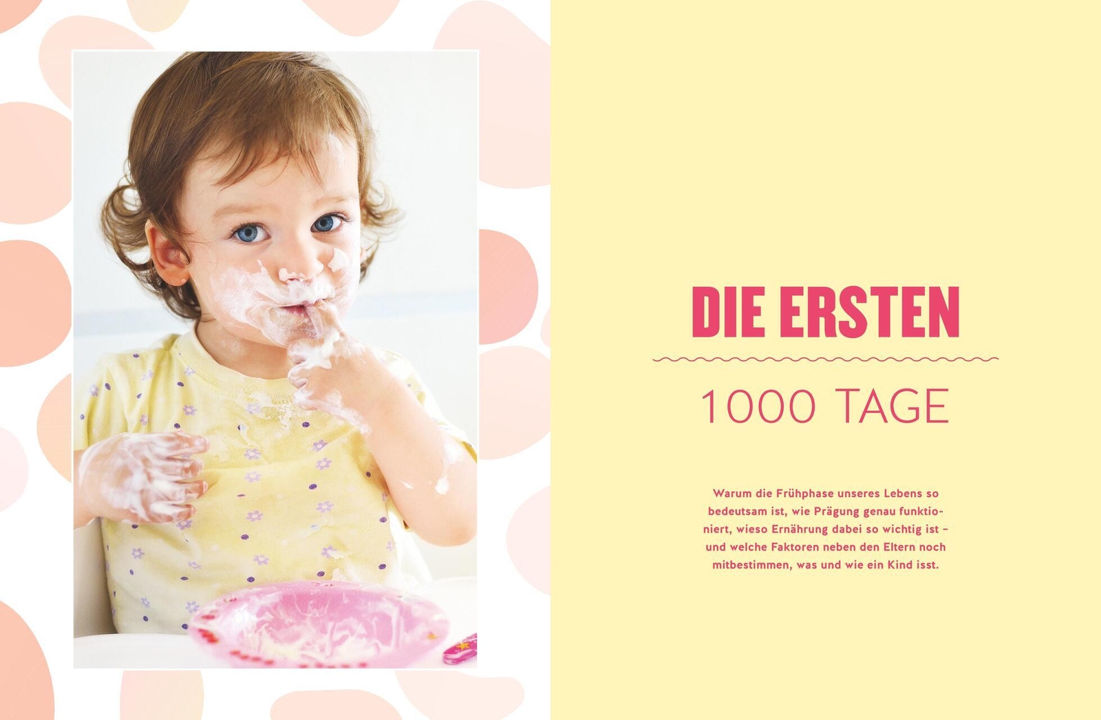 Thumbnail - Matthias Riedl Das Kochbuch Der Ersten 1000 Tage