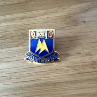 Torquay United AFC Enamel Football Club Crest Badge Pin Club Badge Pin