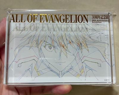 ALL OF EVANGELION 30th Anniversary Key Visual Acrylic Block Asuka Langley