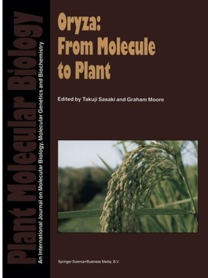 Sasaki - Oryza  From Molecule to Plant - New paperback or softback - X555z