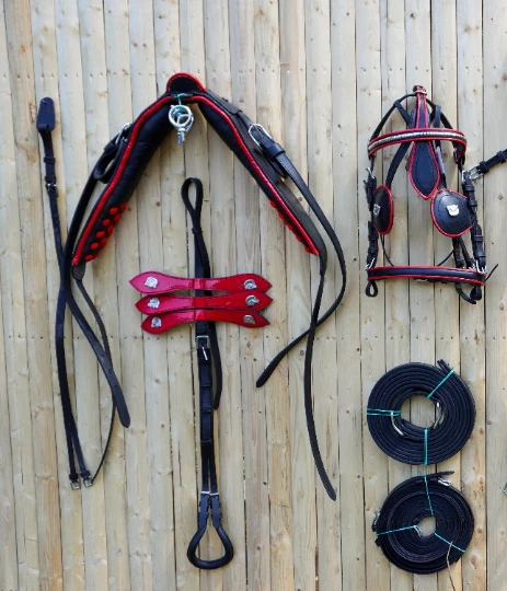 Full Size Leather Horse Driving Harness With Red Trim - Premium Quality - Image 4 of 4