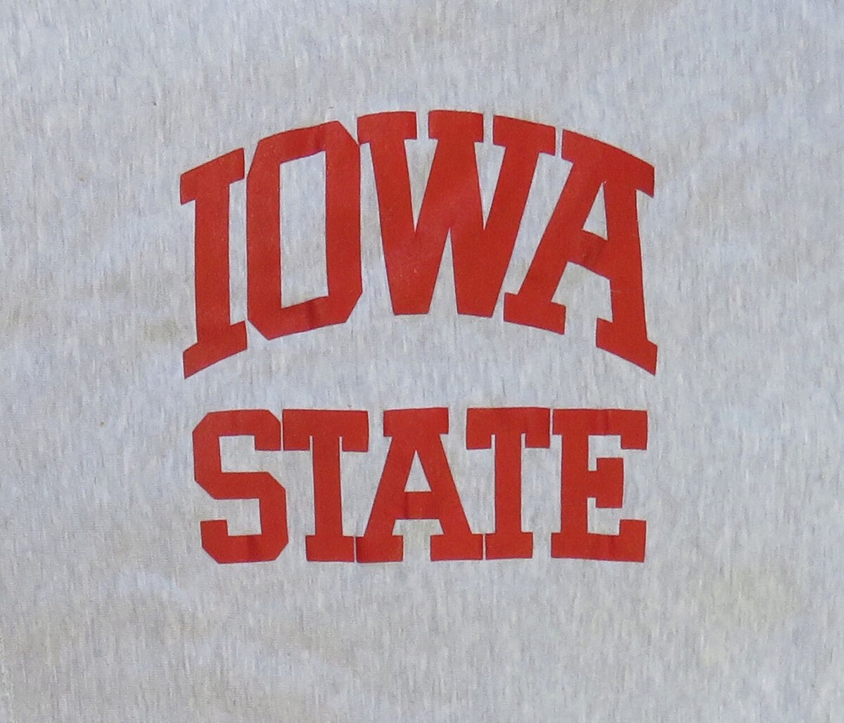 Iowa State Vintage Champion Reverse Weave Sweatshirt 1990's Iowa State Vintage Champion Reverse Weave Sweatshirt 1990's