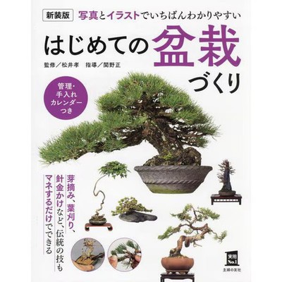 Bonsai Book Creating Easy Tutorial Photos Guide For Ages 14+