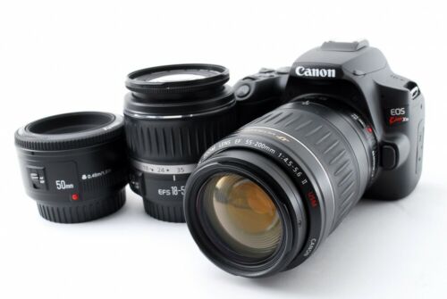 Canon EOS Kiss X10/Rebel SL3/250D 24.1MP 18-55/55-200/50mm [Exc++++] w/8GB [jkh] - 第 1/12 張圖片