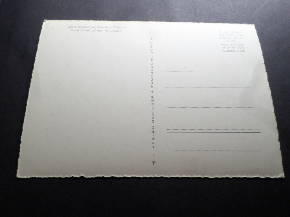 CP, Bear, Zoologischer Garten Zurich, French Version Postcard, BAR