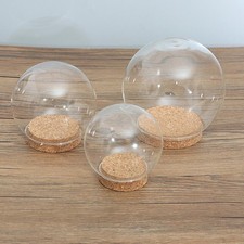 Glass Dome Bell Jar Terrarium Display Case with Wood Base Artwork