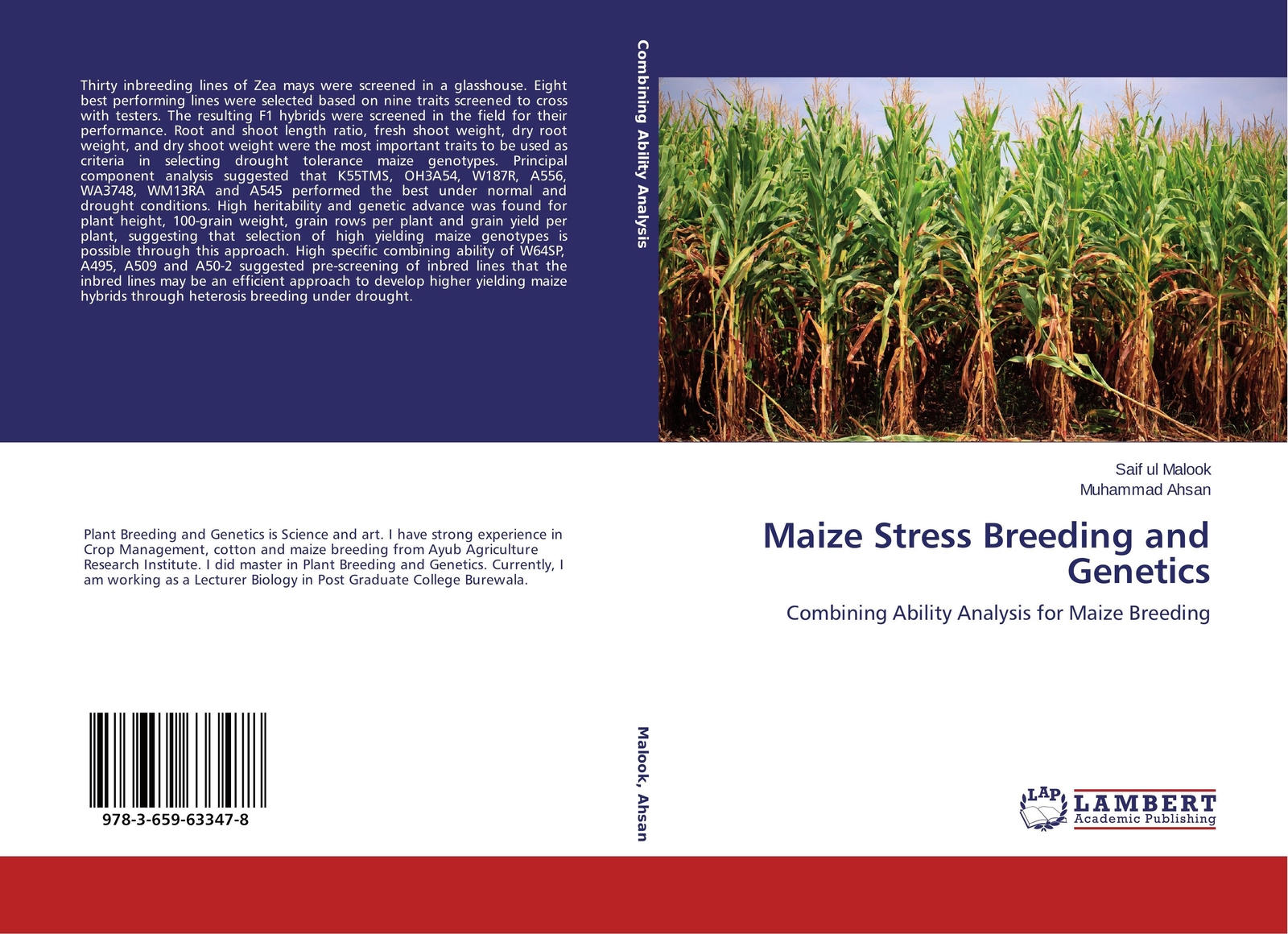Thumbnail - Maize Stress Breeding And Genetics Combining Ability Analysis For