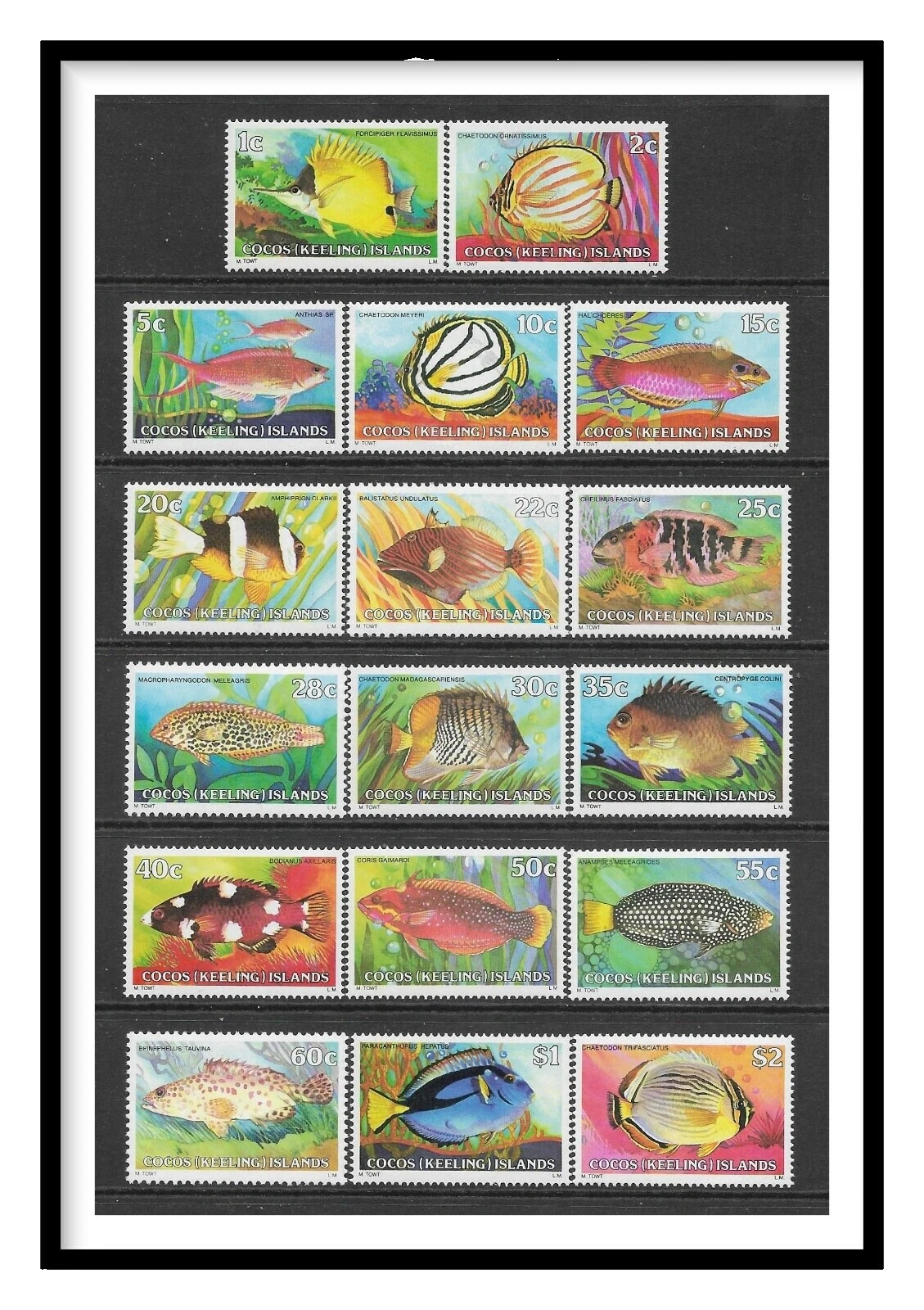 En excelente estado nunca abisagrado/estampillada sin montar o nunca montada Pescado Cocos Islander Sellos