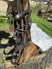 Used Maxi Cob/Heavy Weight Handmade Bridle Black/Brown Extra Full 2" Noseband