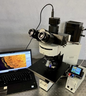Olympus BX50 WI Water Immersion  DIC LED Fluorescence Microscope CAM+ Guarantee