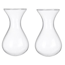 Plant Propagation Station Accessories, 2 Pack Glass Hyacinth vase