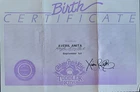 Vintage Cabbage Patch Toddler Kids Birth Certificate Girl ~Averil Anita ~ Coleco