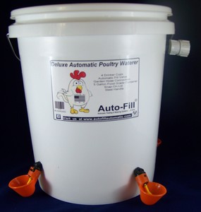 Automatic Chicken Poultry Waterer 5 Gallon 4 Drinker Cups Food