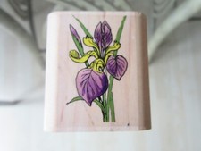 Lily of the Valley Solid Wood …