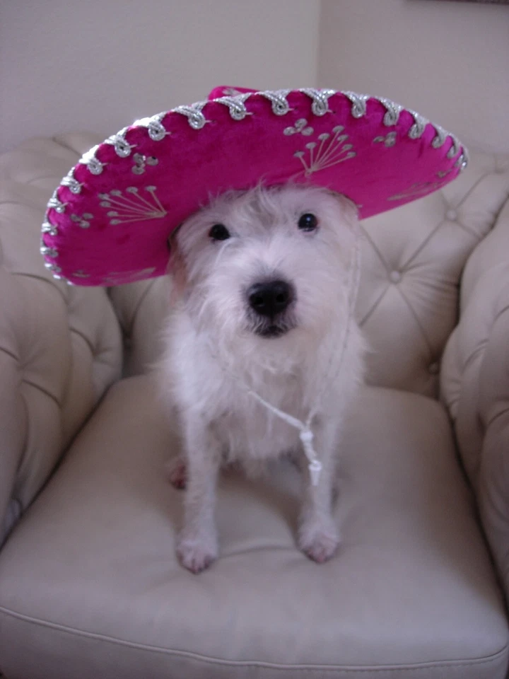 CRAFTS Sewing Pattern uncut quilt windham wine & roses 57x57 geometric wall art - Image 3 of 3