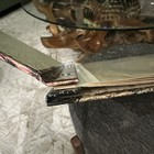 Bild 5 von 5