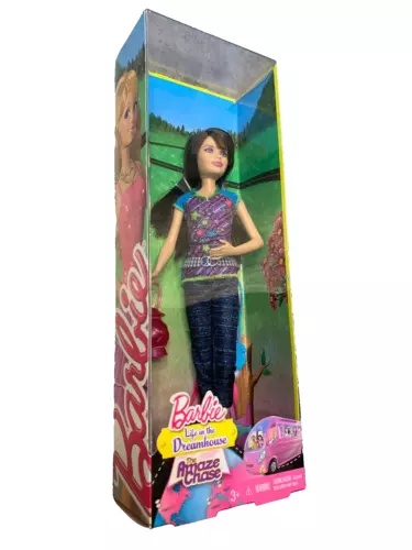 Barbie Life in the Dreamhouse The Amaze Chase Skipper Doll New Sealed Mattel