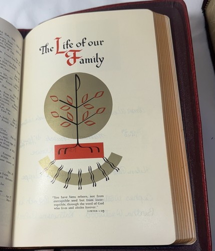 '55 Catholic Holy Bible Holy Trinity Ed. English Color Ill. Family Pg Has Names - Picture 8 of 19