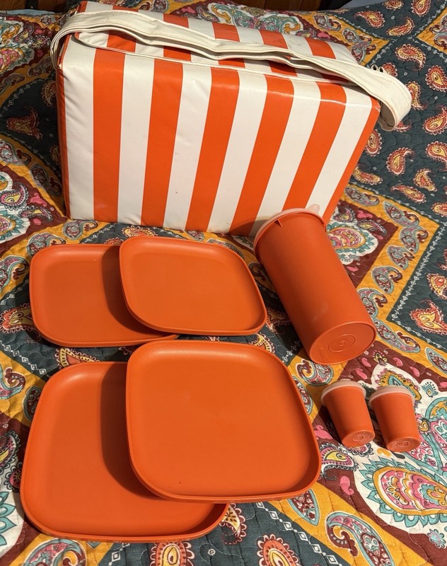 vintage 1970s “TUPPERWARE” PICNIC BASKET w/PLATES-CUP-SALT/PEPPER SHAKER SET wow
