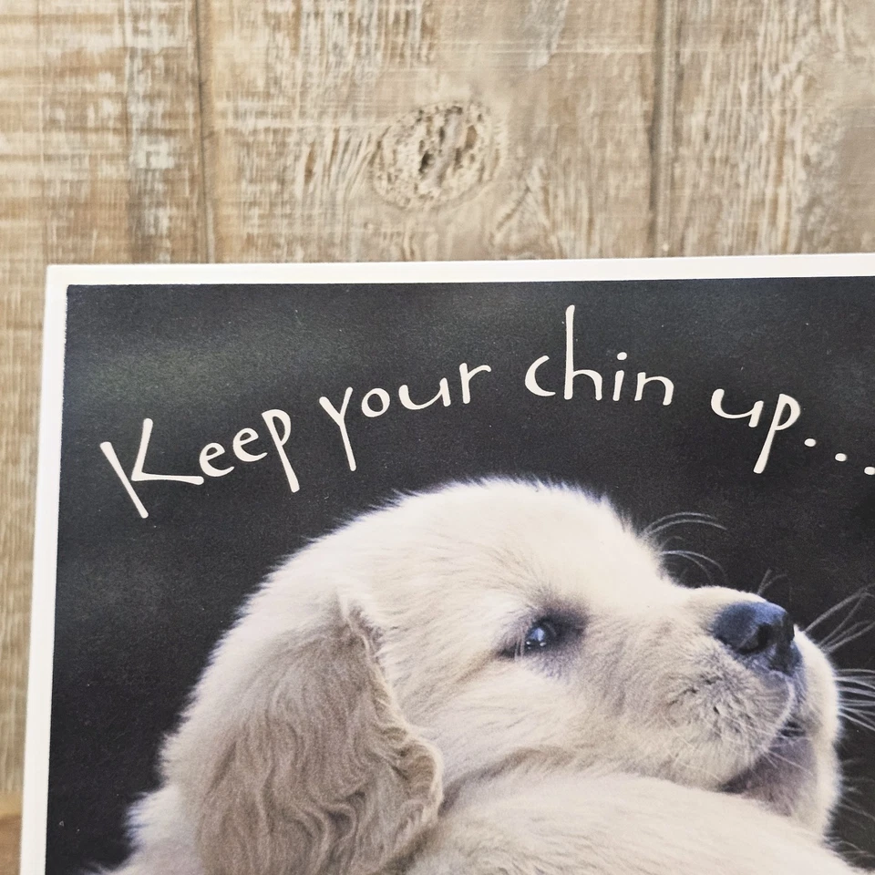 Leanin Tree Greeting Card Encouragement Puppies Chin Up Black White - Image 2 of 4