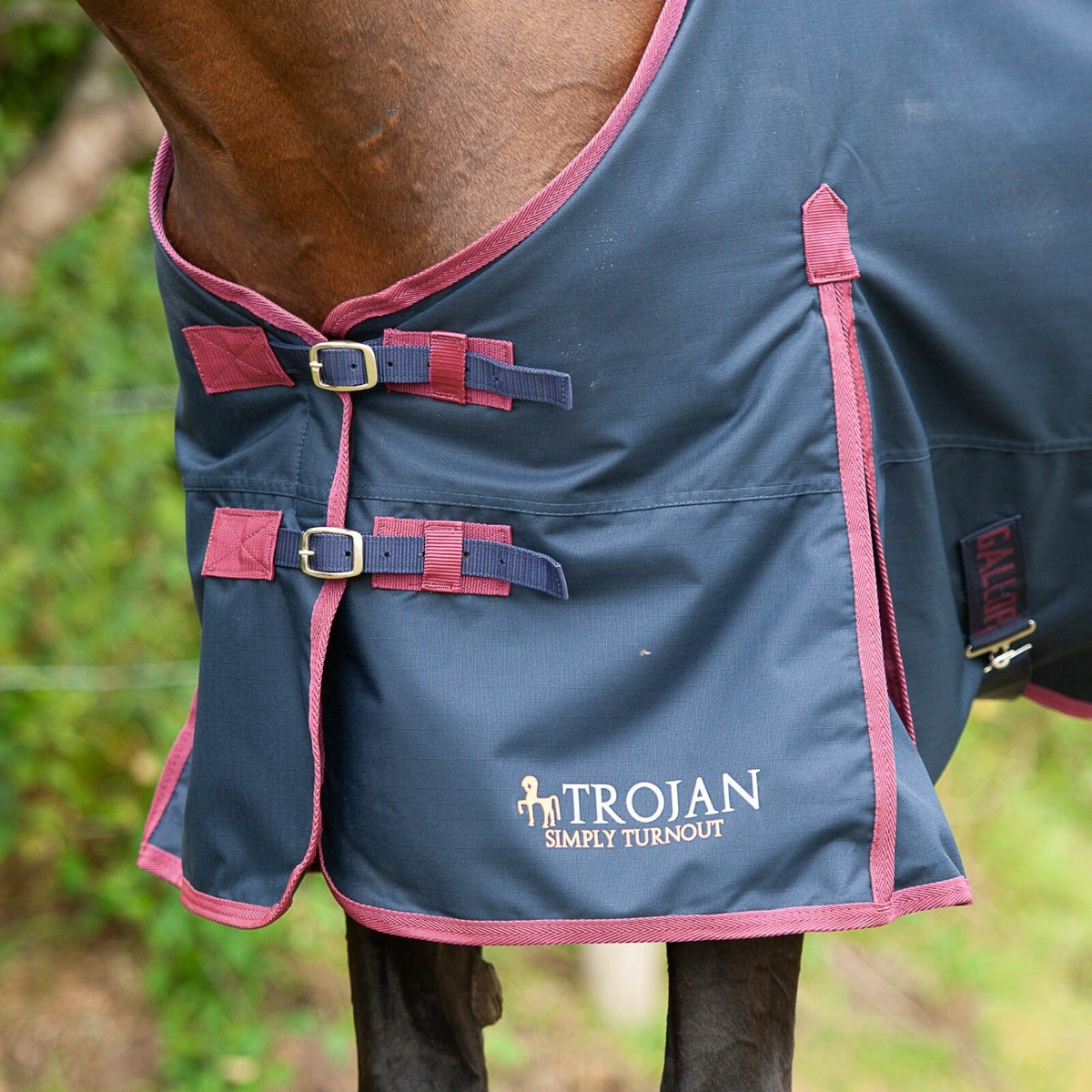 Tunap Gpl Gallop Trojan 50g Stable Rug In Navy/Burgundy - Eland Lodge ...