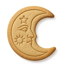Celestial Moon Cookie Cutter & Stamp 4x2.4" for Baking Fondant Clay Embosser
