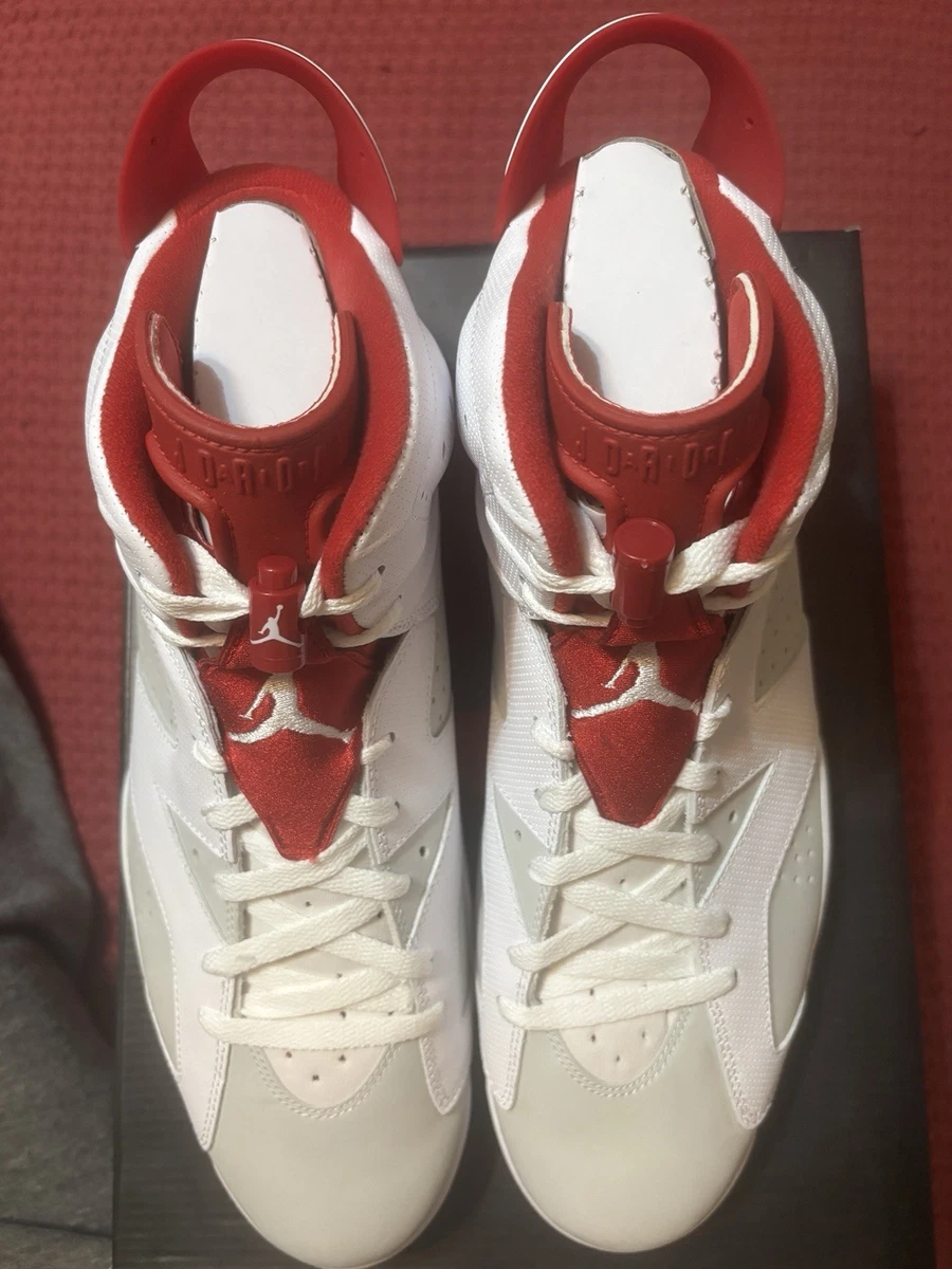 Jordan 6 Retro Alternate for Sale | Authenticity Guaranteed | eBay UK