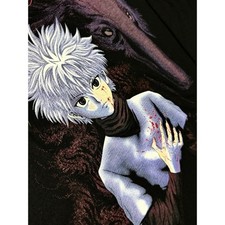 Extremely Rare Hunter Killua Anime T-Shirt Long Sleeve Xl No.mt151
